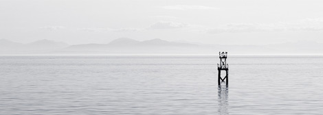 免费ddos在线攻击