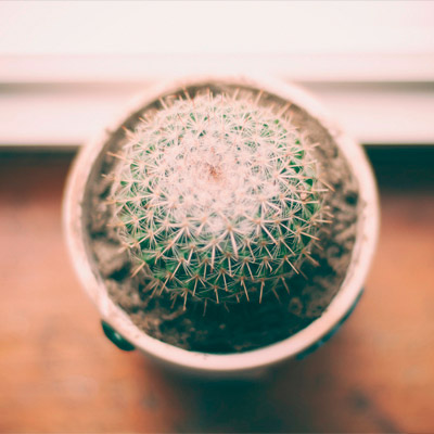 Web漏洞扫描工具