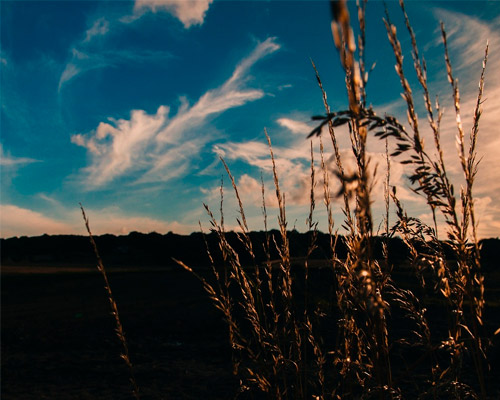 免费ddos在线攻击